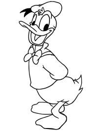 Kačer Donald