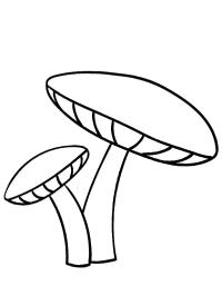 2 houby