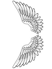 Andělská křídla tetování