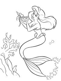Ariel s Kytkou