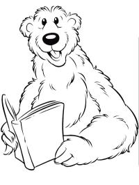 Medvěd si čte