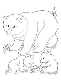 Medvěd s mláďaty