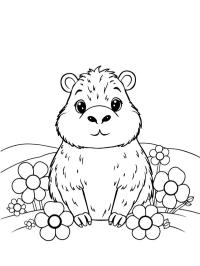 Kapybara