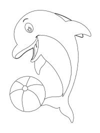 Delfín žongluje s míčem