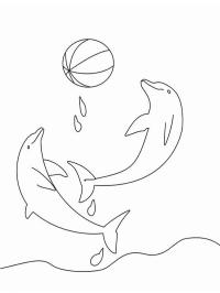 Delfín s míčem