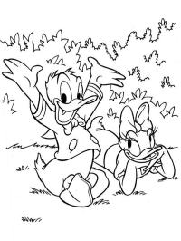 Kačer Donald a Daisy