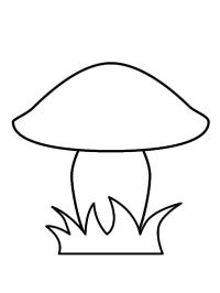 Jednoduchá houba
