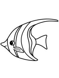 Rybka