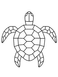 Geometrická želva