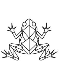Geometrická žába