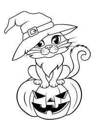 Halloweenská kočka v kouzelnické čepici