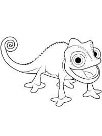 Pascal chameleón