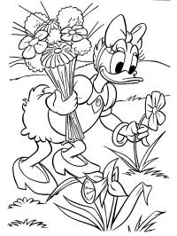 Daisy Duck sbírá květiny