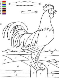 Vybarvěte kuře podle čísla barvy