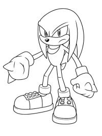 Panáček Echidna