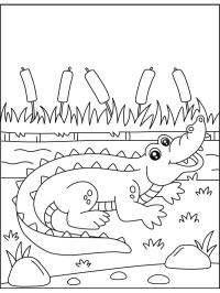 Krokodýl s otevřenou pusou