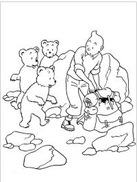 Tintin a medvědi