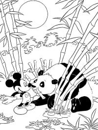 Mickey Mouse a panda