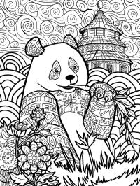 Panda pro dospělé