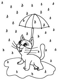 Kočka v dešti
