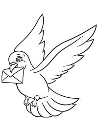Poštovní holub