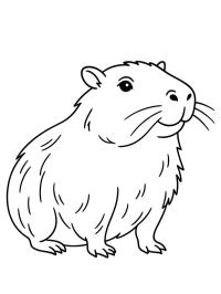 Zvíře Kapybara