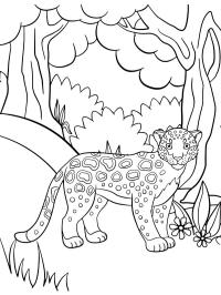 Milý leopard
