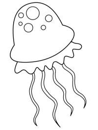 Roztomilá medúza