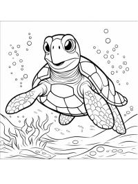 Želva pod vodou