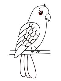 Jednoduchý papoušek