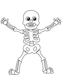 Lidská kostra Halloween