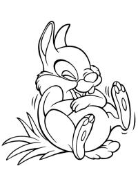 Thumper se směje