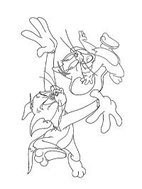 Tom honí Jerryho