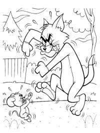 Tom a Jerry se perou