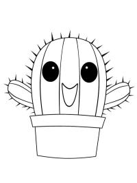 Veselý kaktus