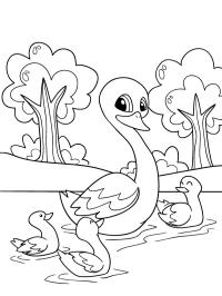 Labuť s labutími mláďaty