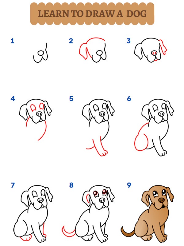 Jak nakreslit psa?