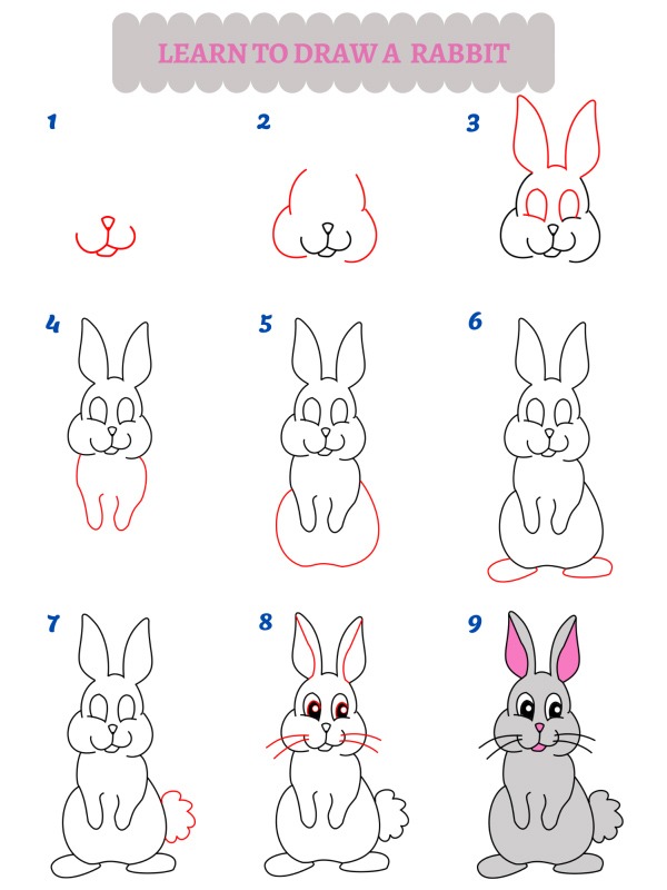 Jak nakreslit zajíce?