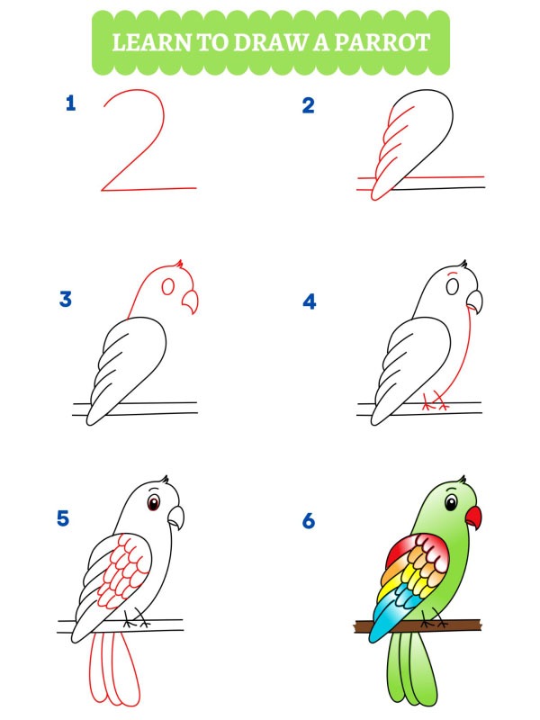 Jak nakreslit papouška?