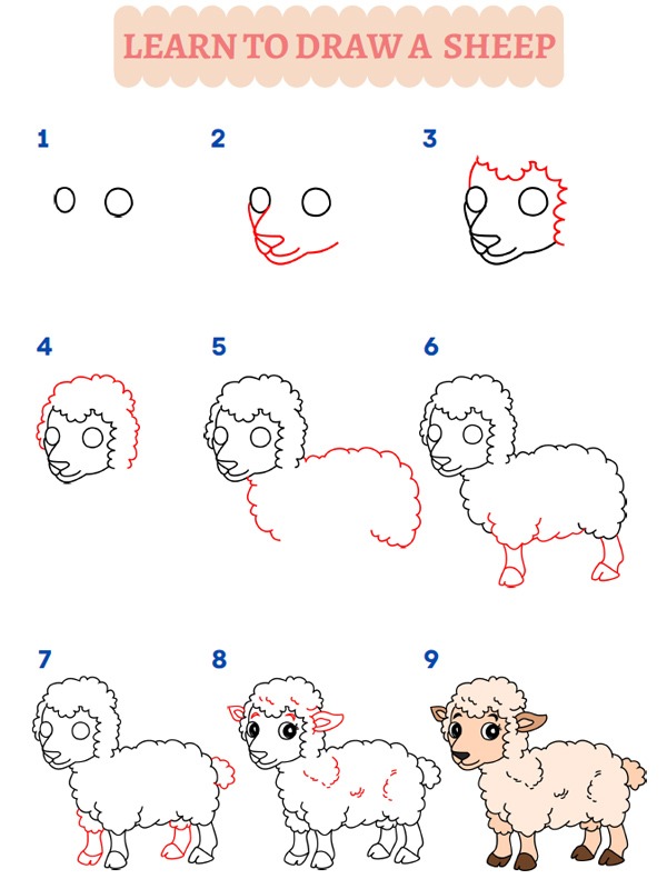 Jak nakreslit ovci?
