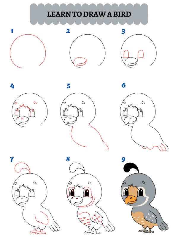 Jak nakreslit ptáka?