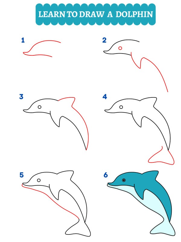 Jak nakreslit delfína