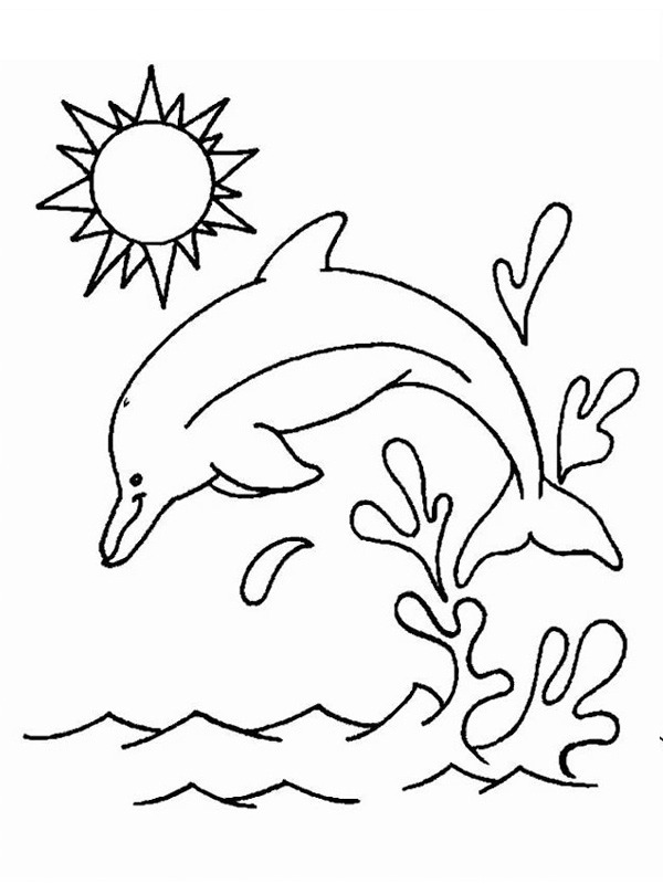 Delfín omalovánka
