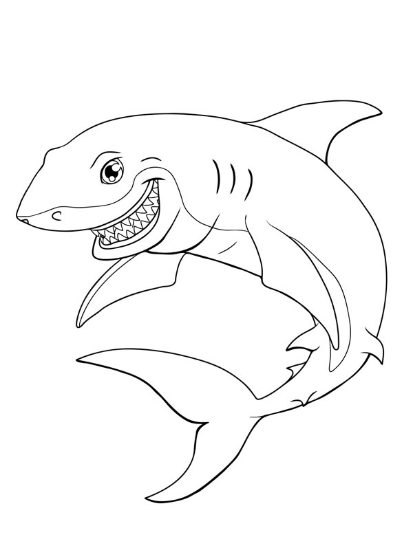 Žralok omalovánka