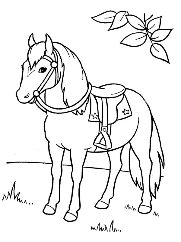 Kůň omalovánka
