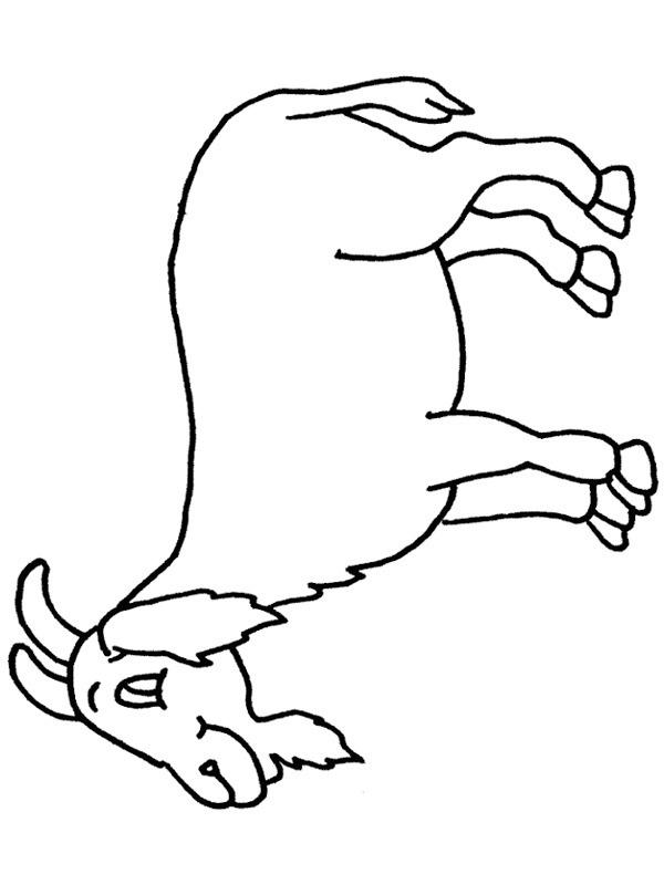 koza omalovánka