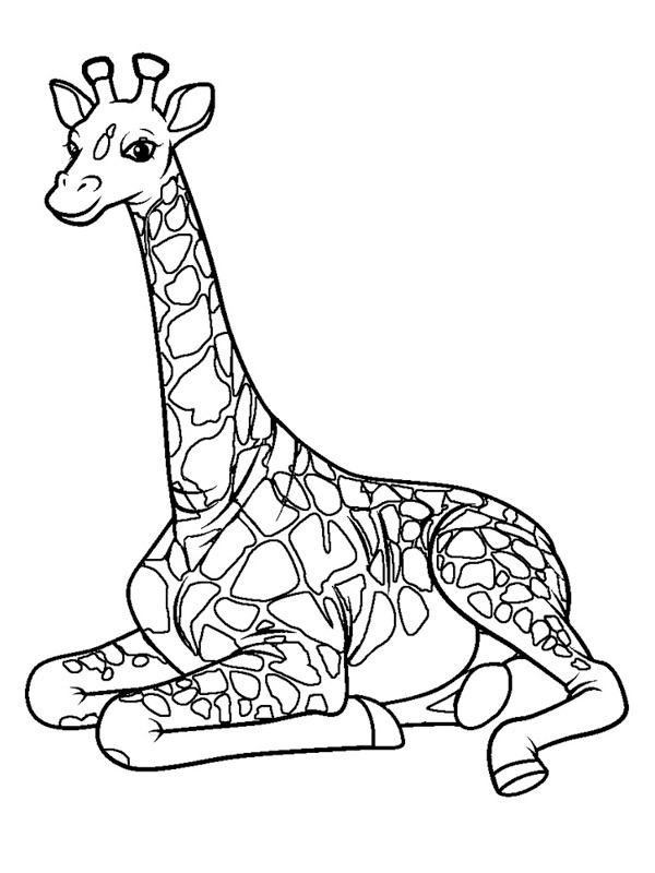 Žirafa omalovánka