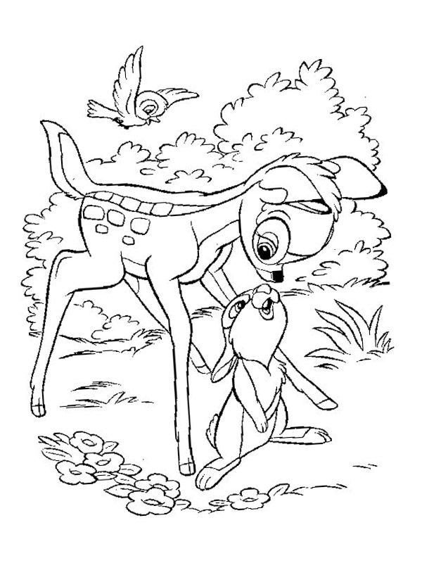 Bambi a Dupík omalovánka
