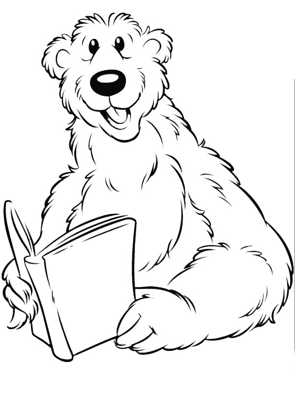 Medvěd si čte omalovánka