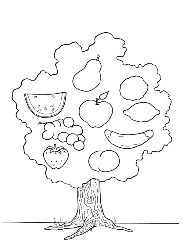 Ovocný strom omalovánka